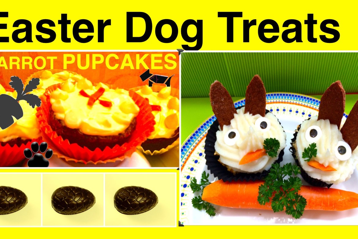 Dog Treats to make at home